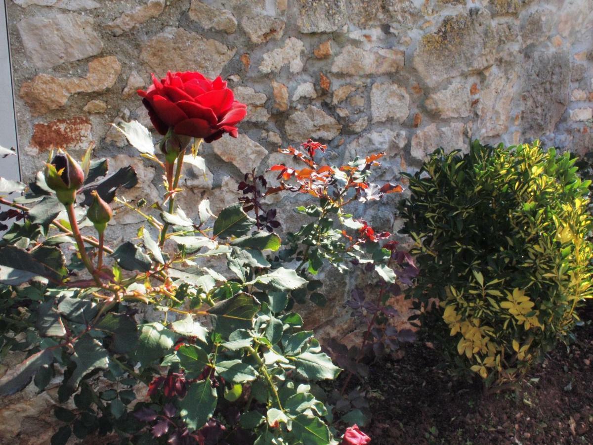 Appartamento House Anna Porec Esterno foto