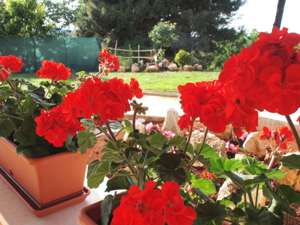 Appartamento House Anna Porec Esterno foto